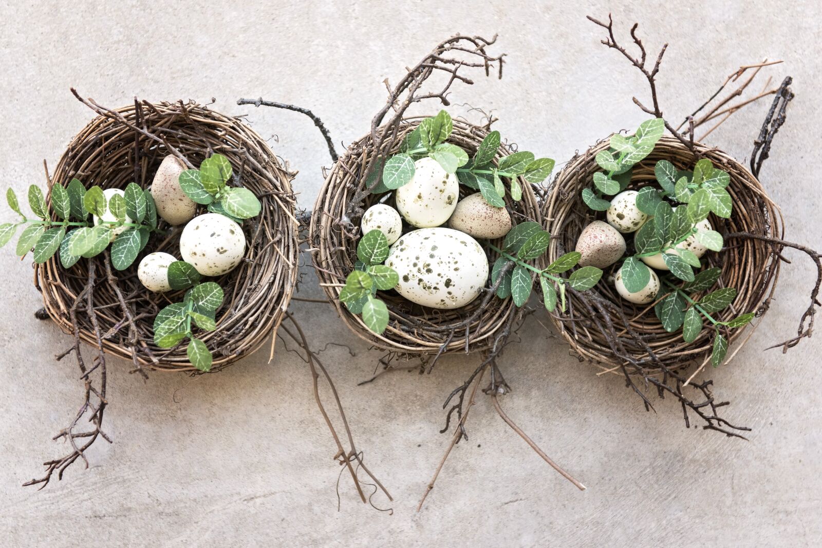 Nikon D810 sample photo. Bird's nest, eggs, bird photography