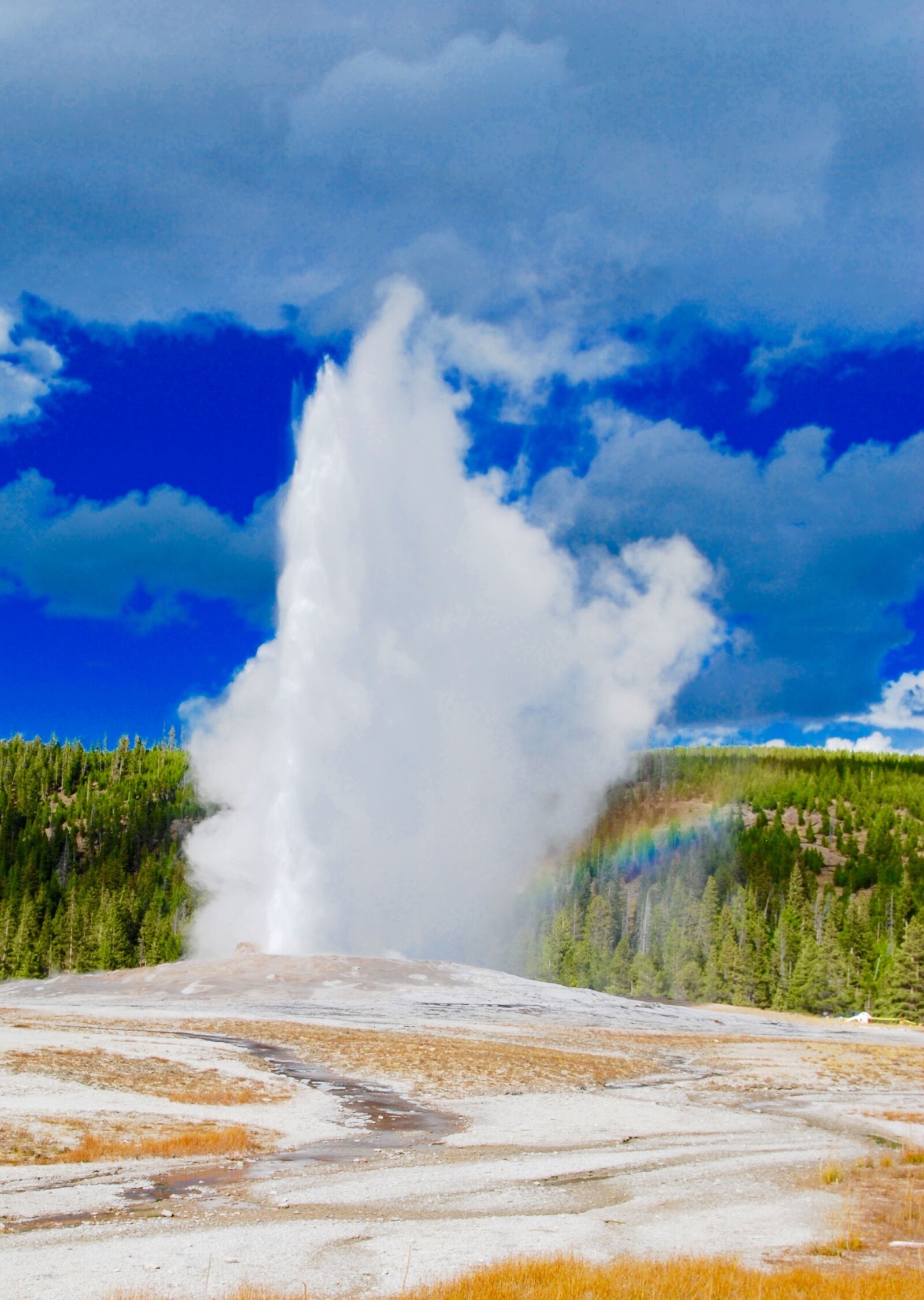 Nikon D60 sample photo. Geyser, aspen, mountains photography