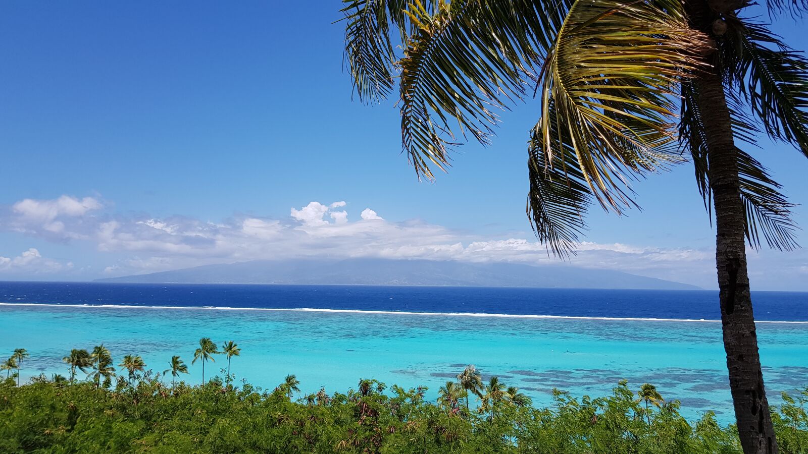 Samsung Galaxy S8 sample photo. Lagoon, moorea, island photography