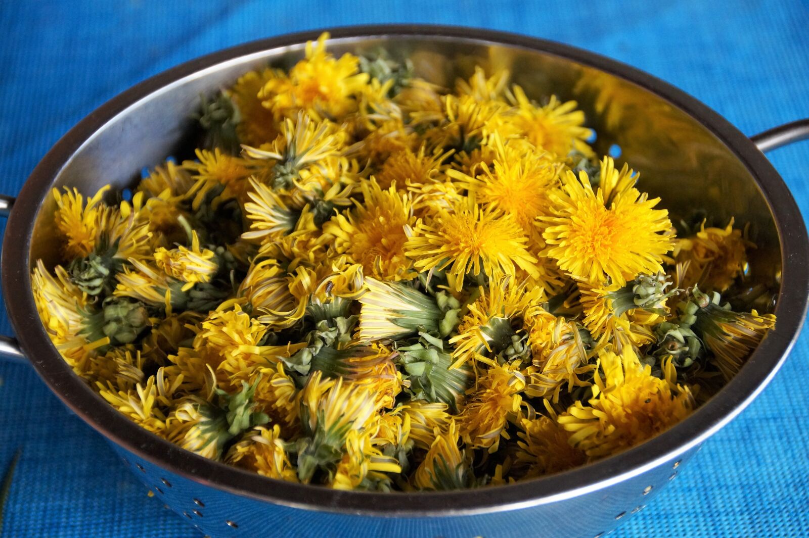 Sony SLT-A58 sample photo. Dandelions, flowers, header photography