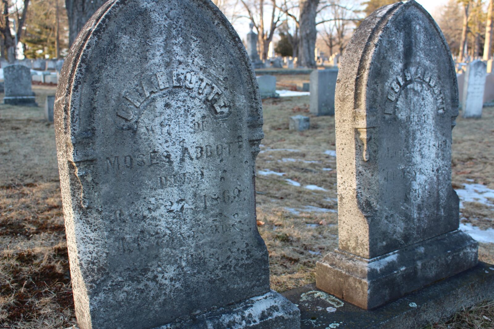 Canon EOS 1300D (EOS Rebel T6 / EOS Kiss X80) sample photo. Graves, rustic, cemetery photography