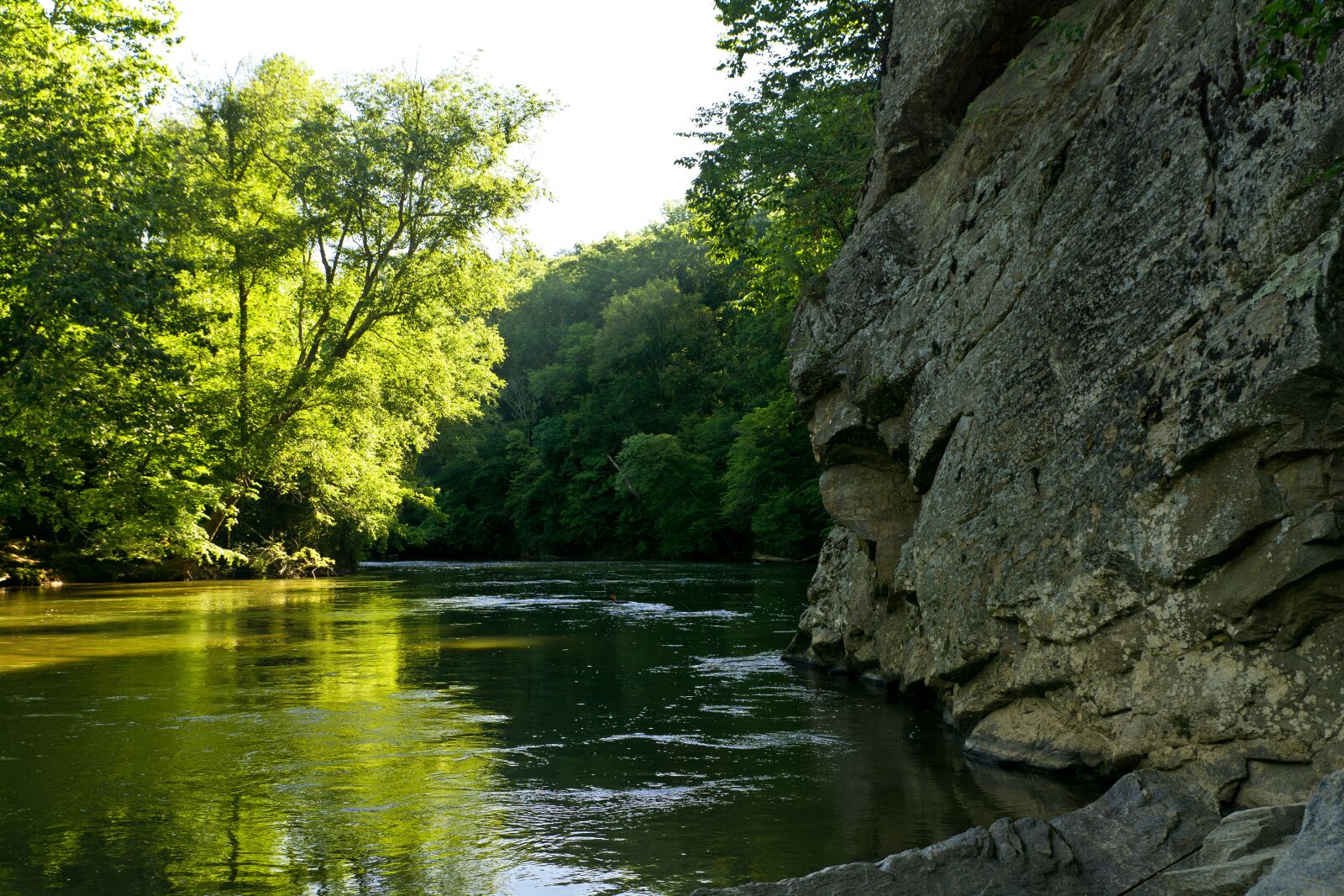 Nikon D7100 sample photo. River, water, trees photography