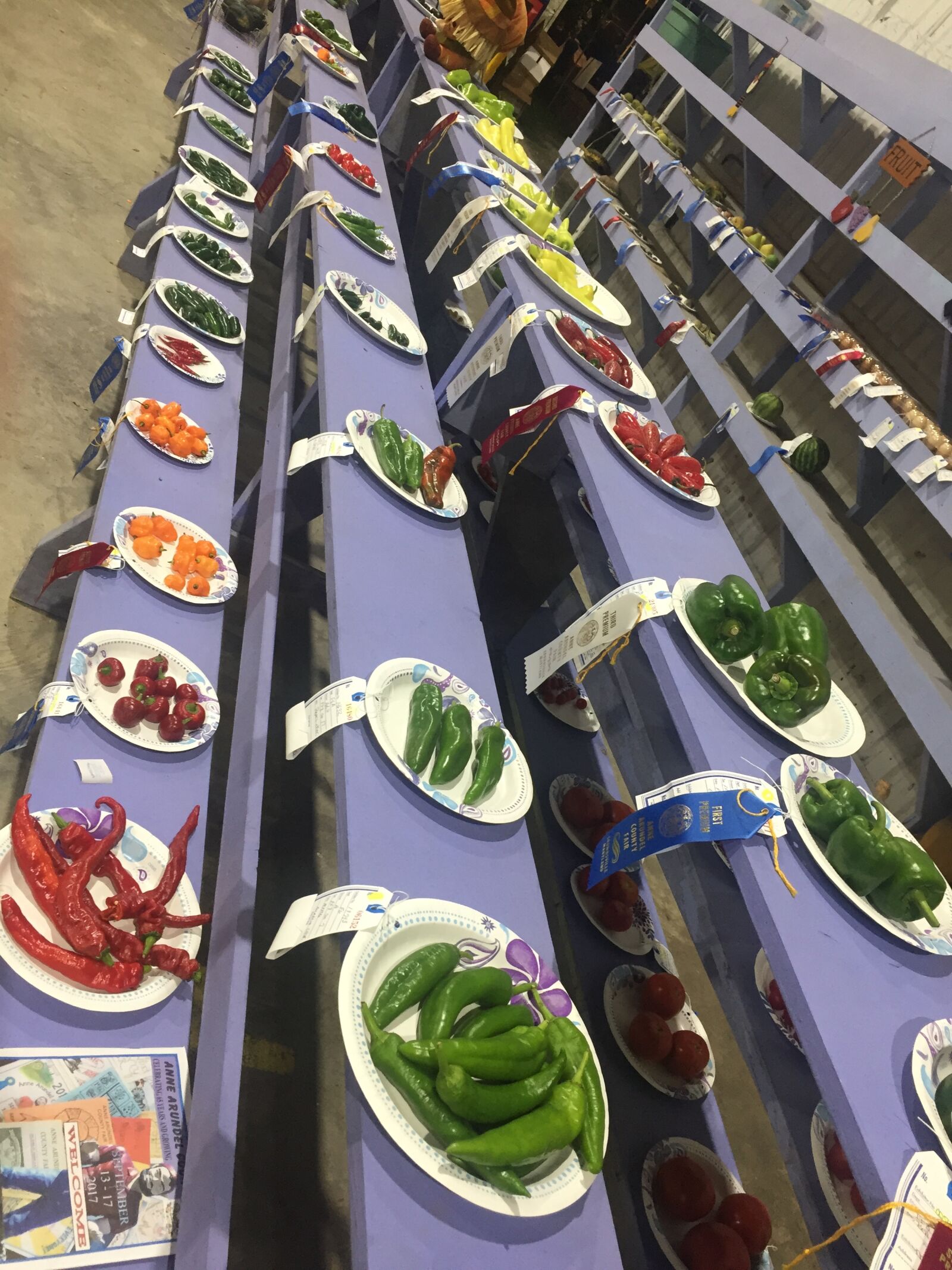 iPhone 6 back camera 4.15mm f/2.2 sample photo. County, fair, fresh, vegetables photography