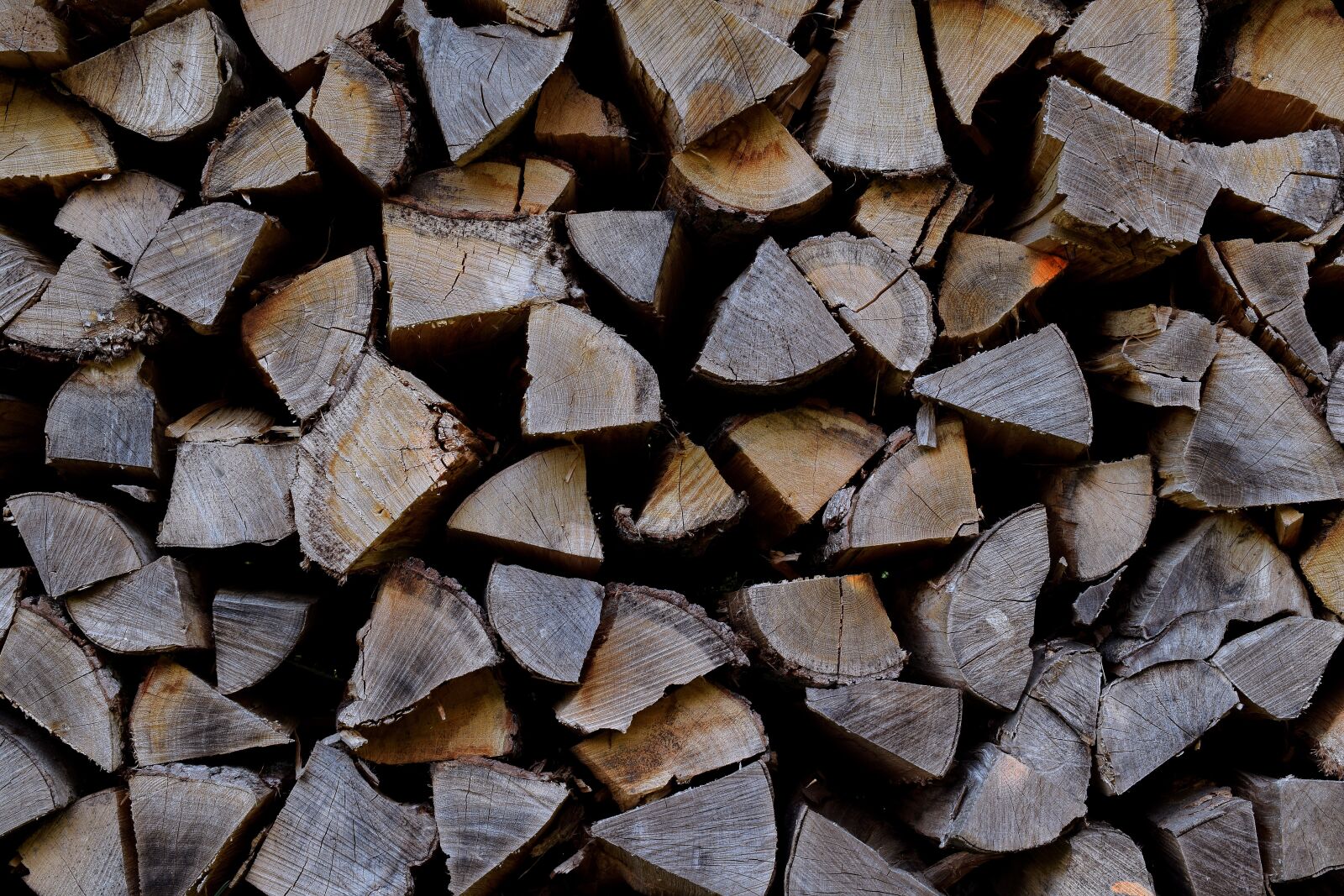Nikon D5300 sample photo. Wood pile, firewood, wood photography