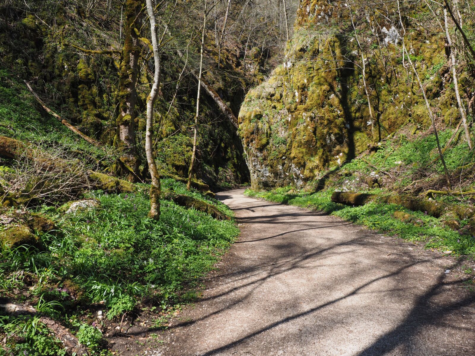 Olympus OM-D E-M1 + Olympus M.Zuiko Digital ED 12-40mm F2.8 Pro sample photo. Wolf valley, hike, away photography