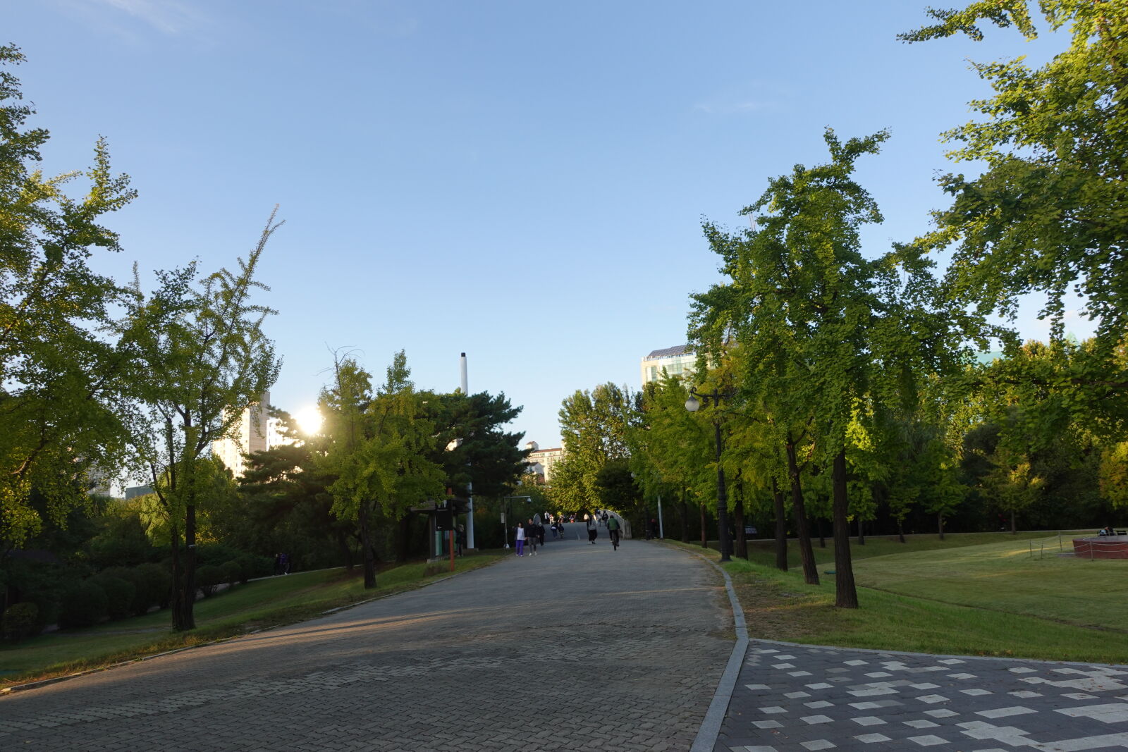 Sony ZV-1 sample photo