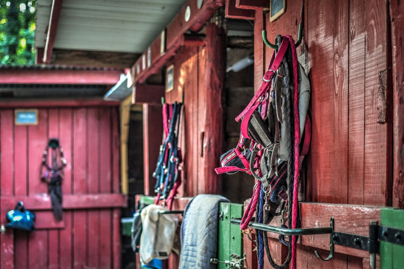 Nikon D500 sample photo. Stable, box, red photography