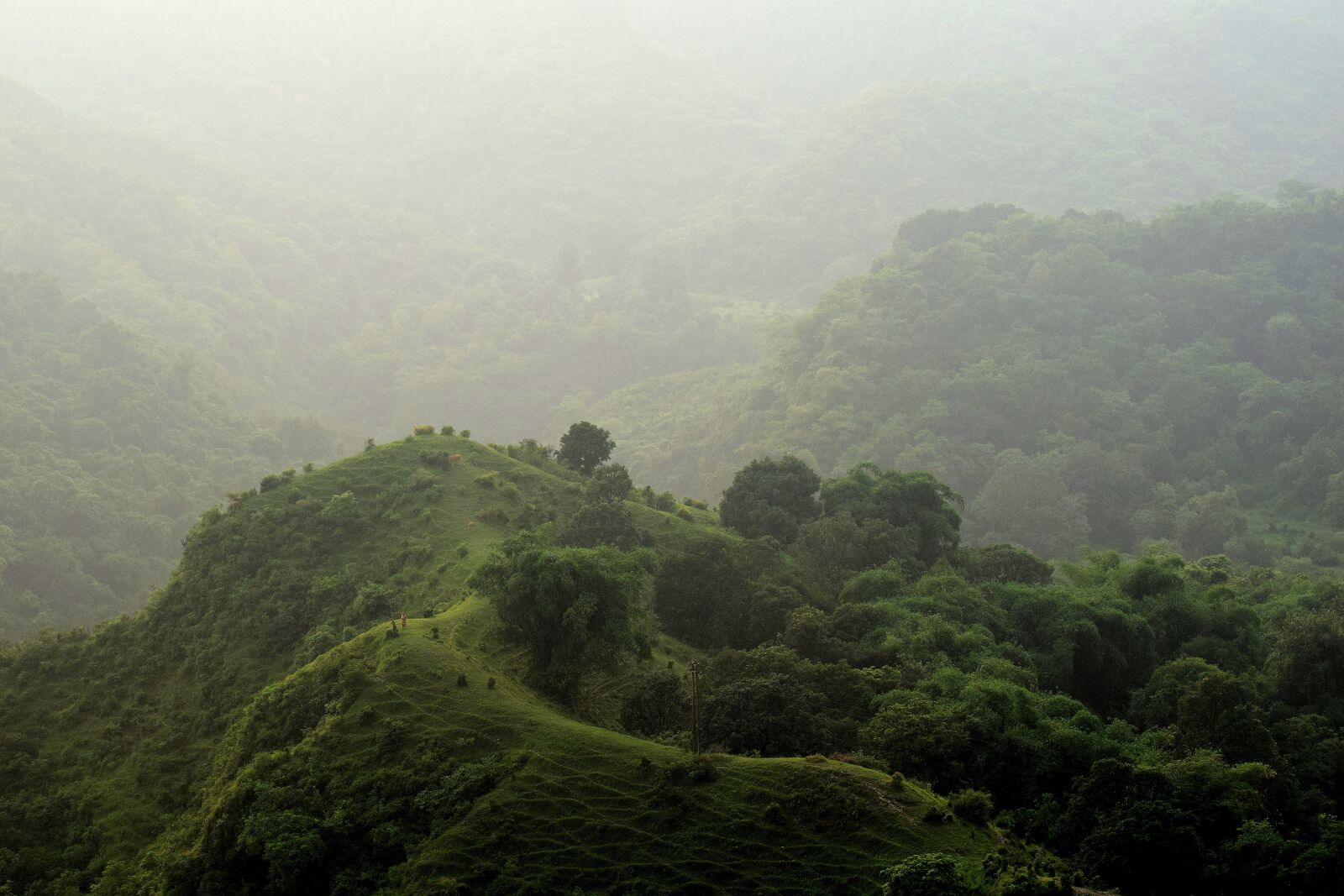 Nikon D3300 sample photo. Landscape, hills, green photography