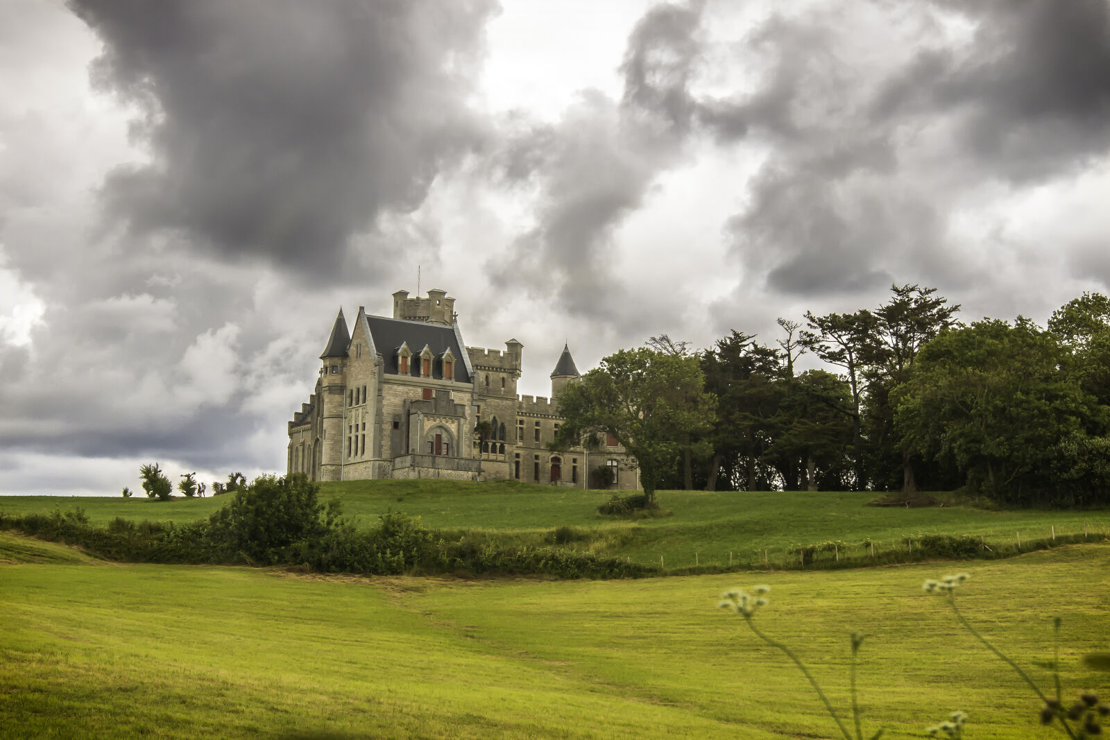 Sigma 18-35mm F1.8 DC HSM Art sample photo. Architecture, building, castle, grass photography