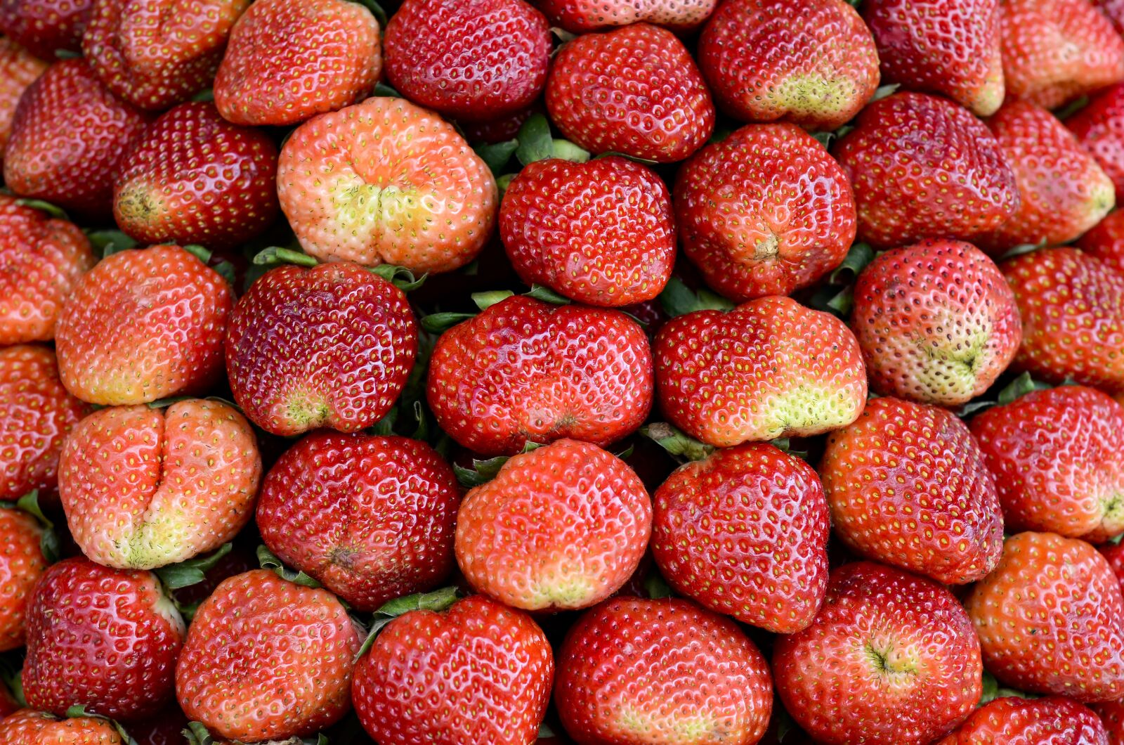 Nikon D7000 sample photo. Strawberries, red, dalat photography