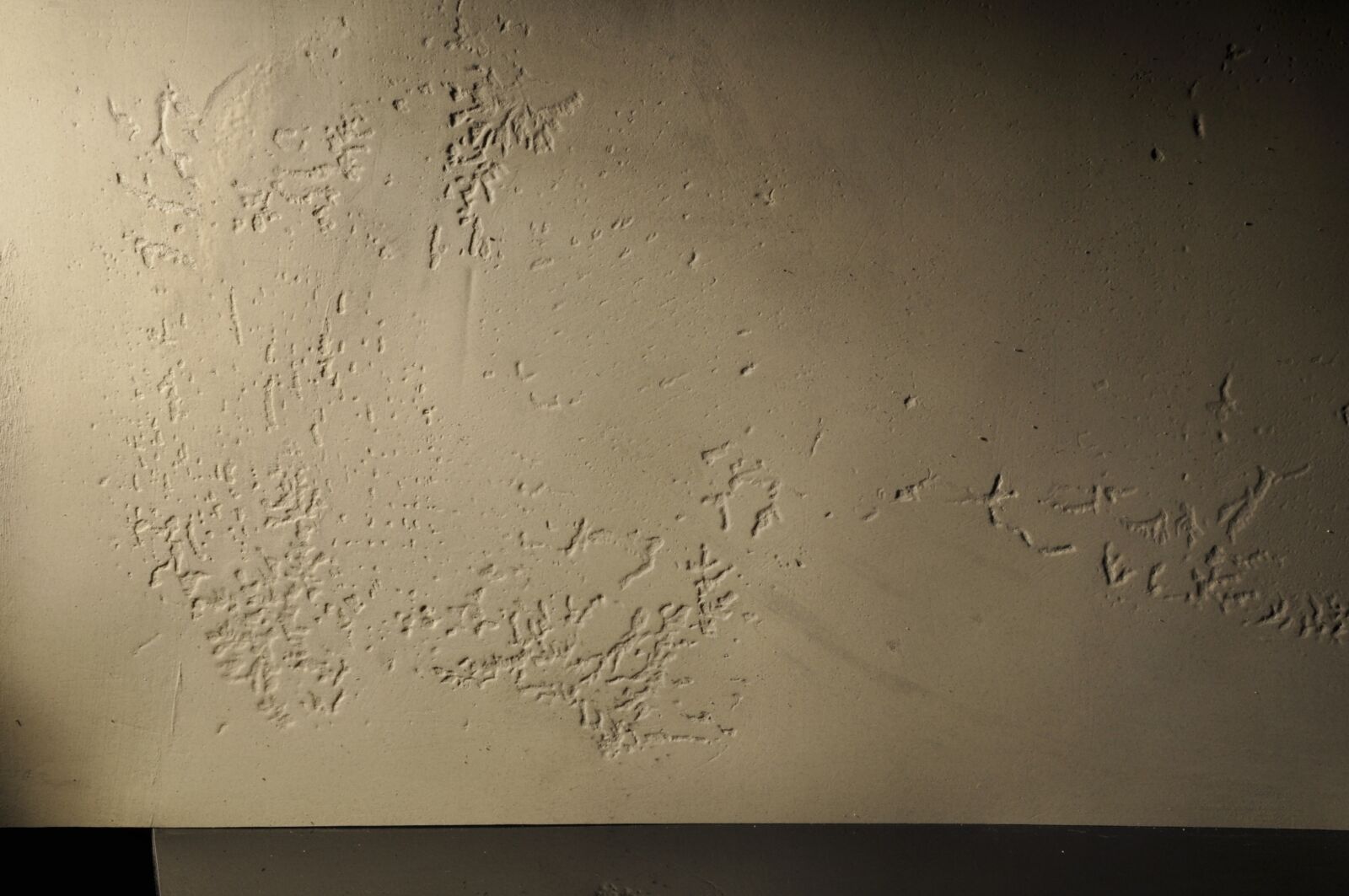 Nikon D90 sample photo. Concrete, texture, stone photography