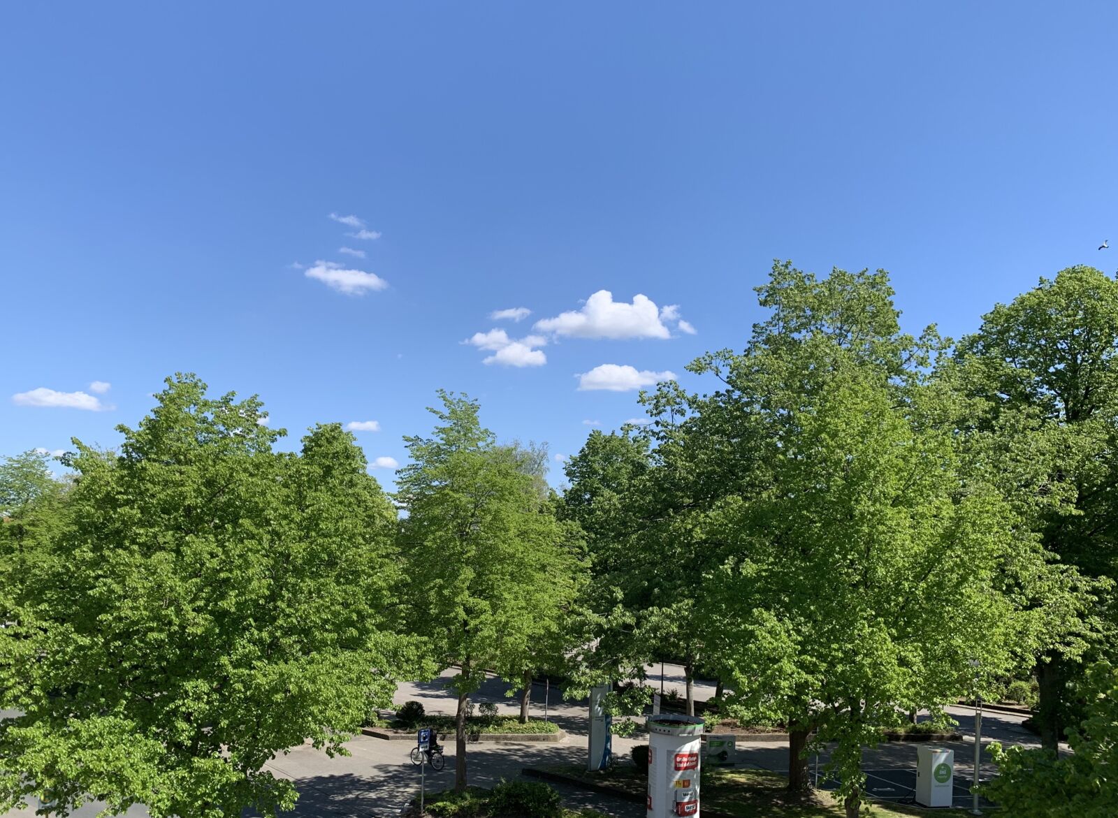 Apple iPhone XR sample photo. Parking, sky, modern photography
