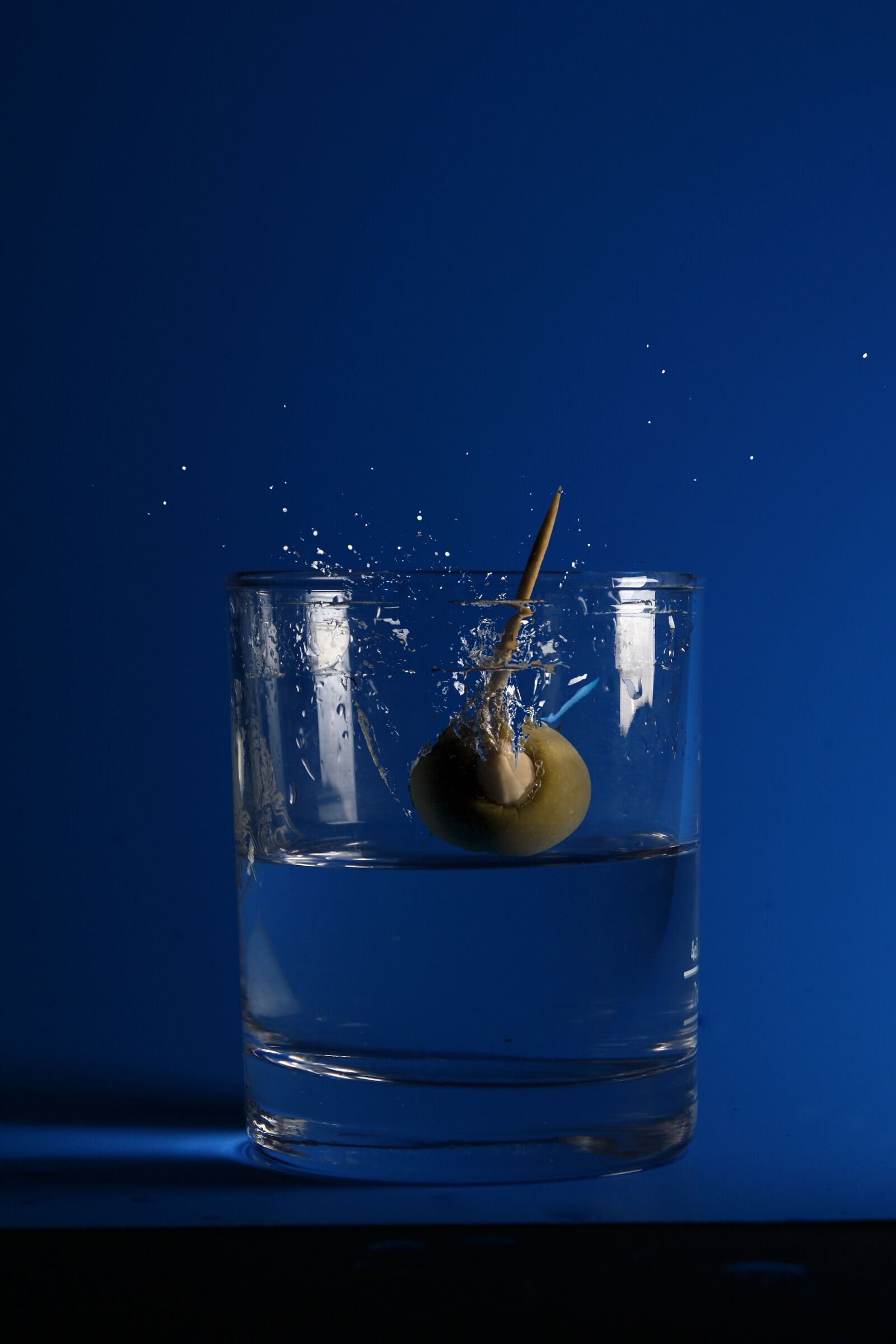Canon EOS 1000D (EOS Digital Rebel XS / EOS Kiss F) sample photo. Except, drink, olive photography