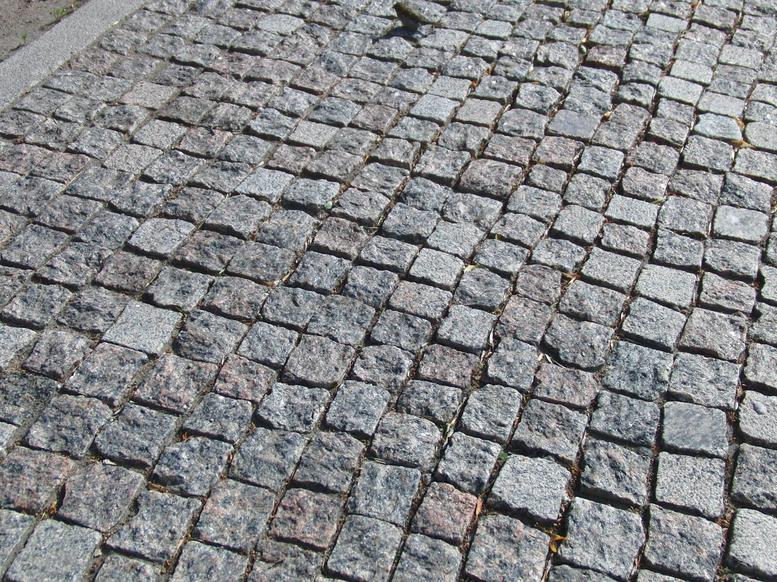 CASIO EX-FC100 sample photo. Paving stone, bruschataja road photography