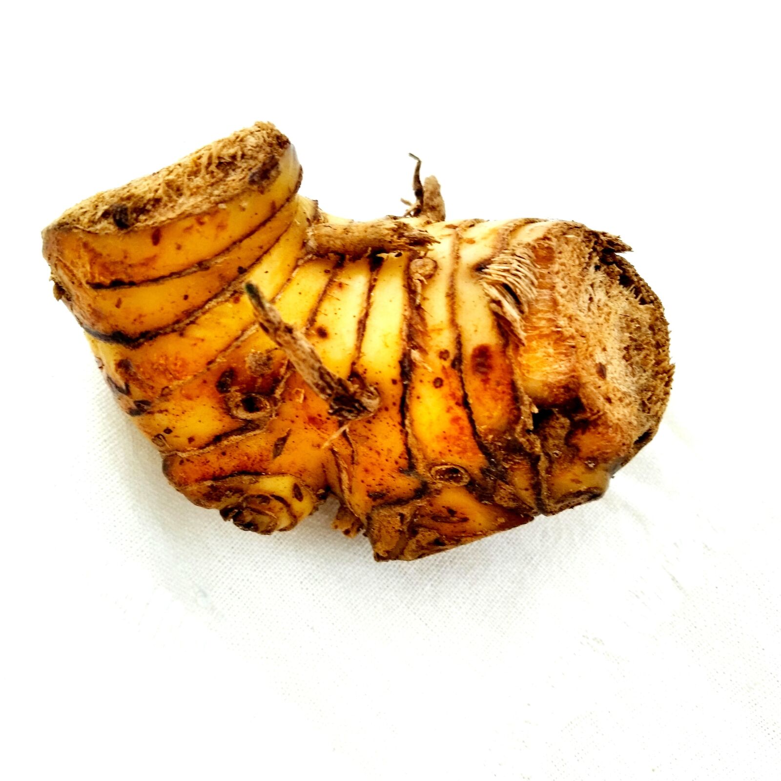 Xiaomi Redmi 7A sample photo. Galangal, ginger, herb photography