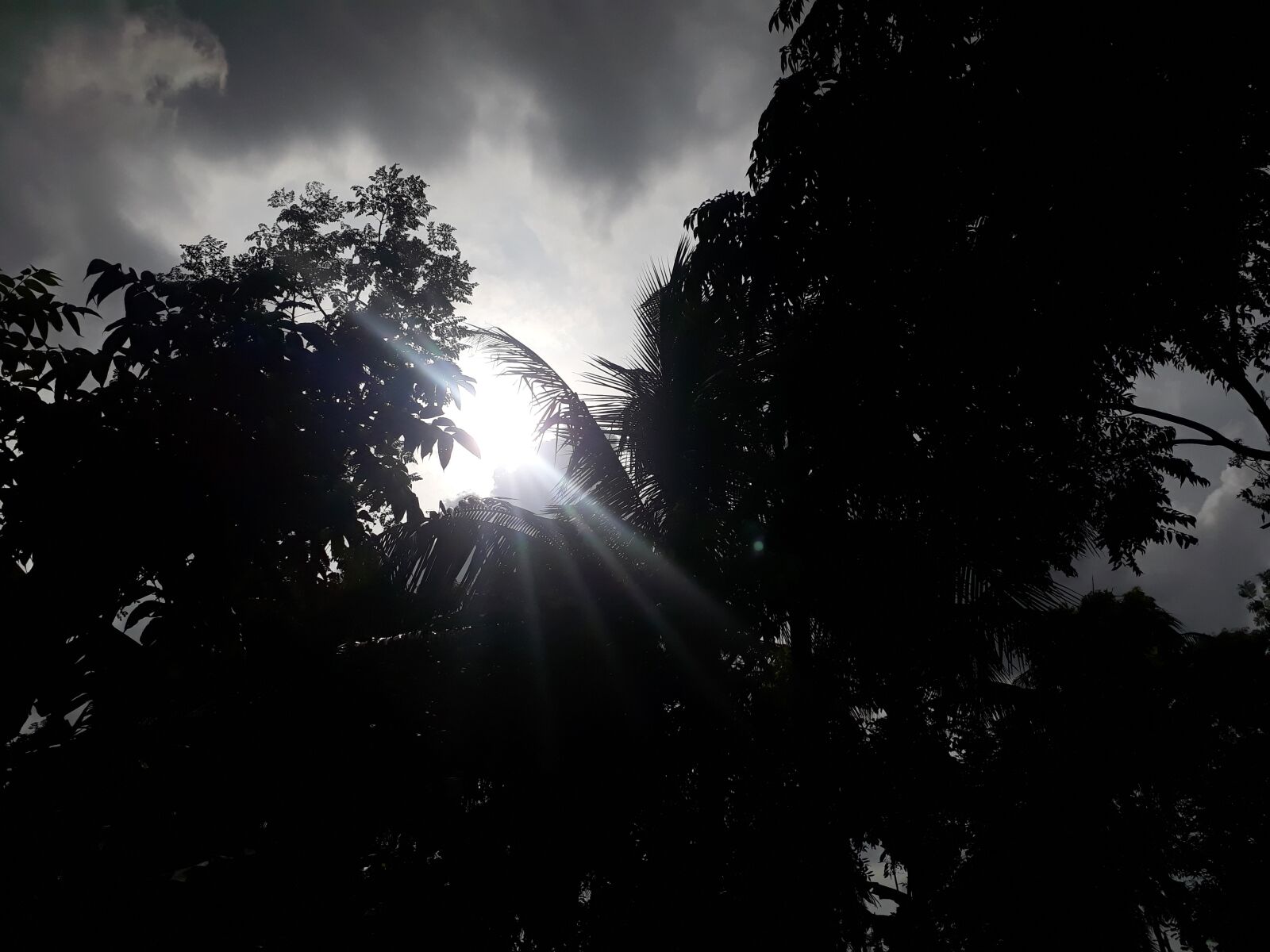 Samsung Galaxy J7 Prime2 sample photo. Sun, under cloud, tree photography