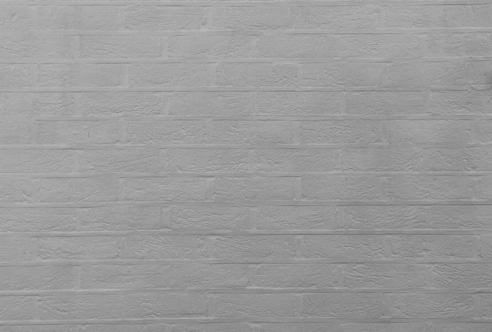 Canon EOS 80D + Canon EF 24-105mm F4L IS USM sample photo. White, brick, white, wall photography