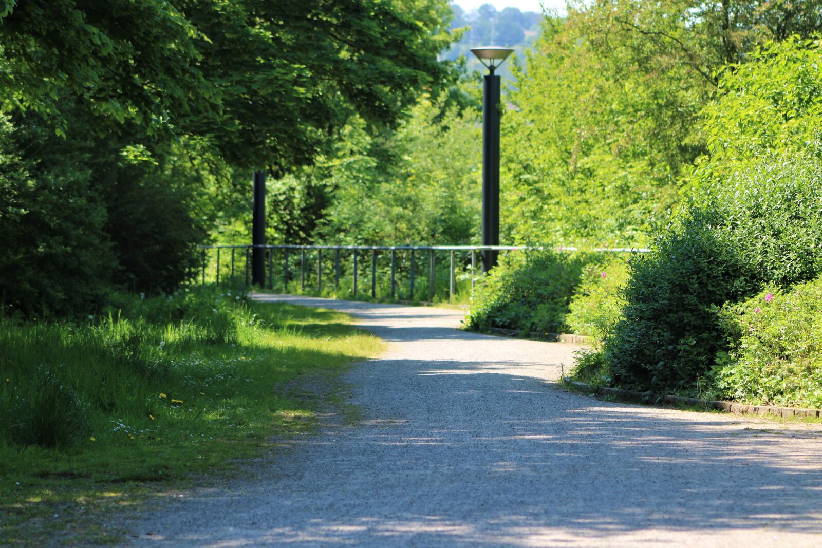 Canon EF75-300mm f/4-5.6 sample photo. Away, forest, nature photography