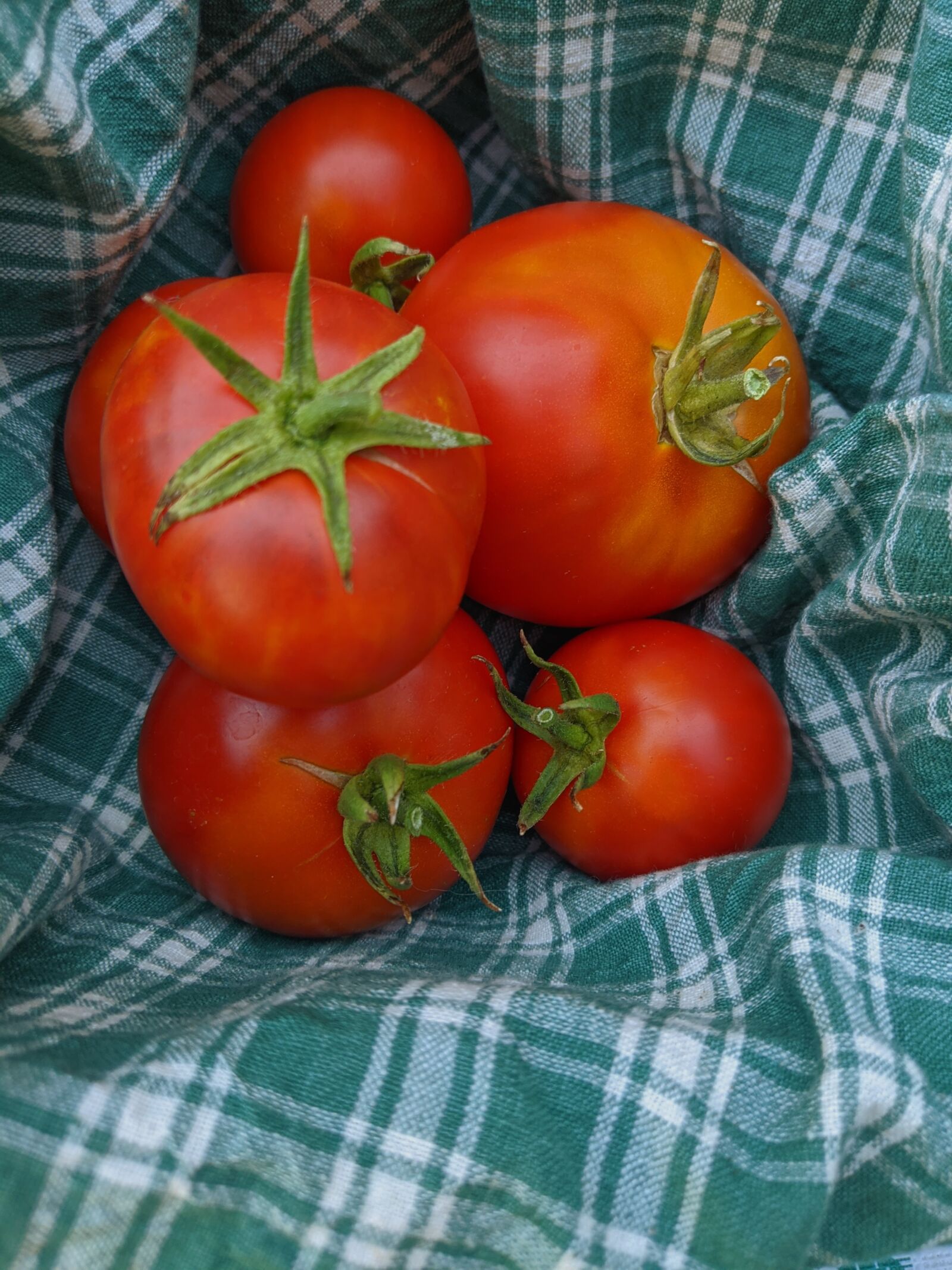 Google Pixel 3 XL sample photo. Tomatoes, vegetable, ripe photography