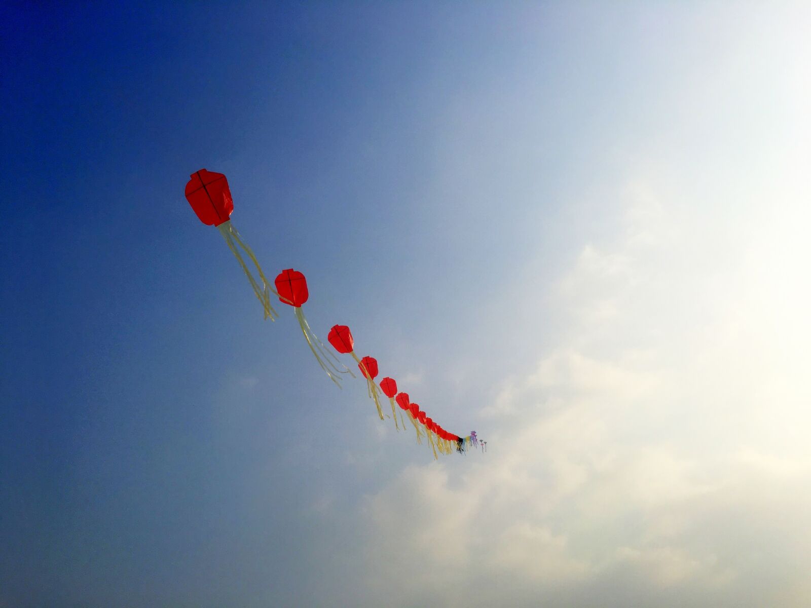 Apple iPhone 6s sample photo. Fly, kite, care photography