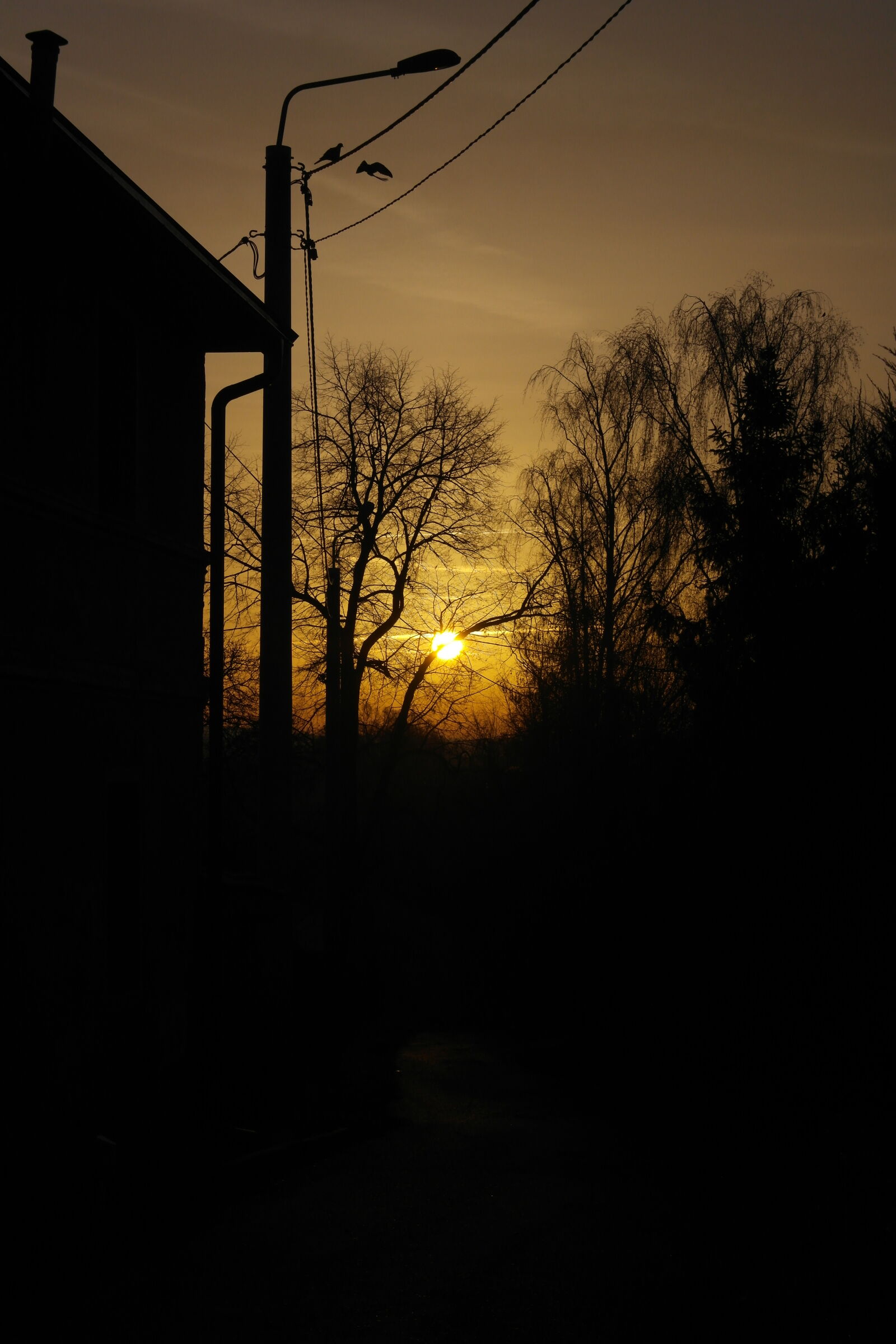 Samsung NX1000 sample photo