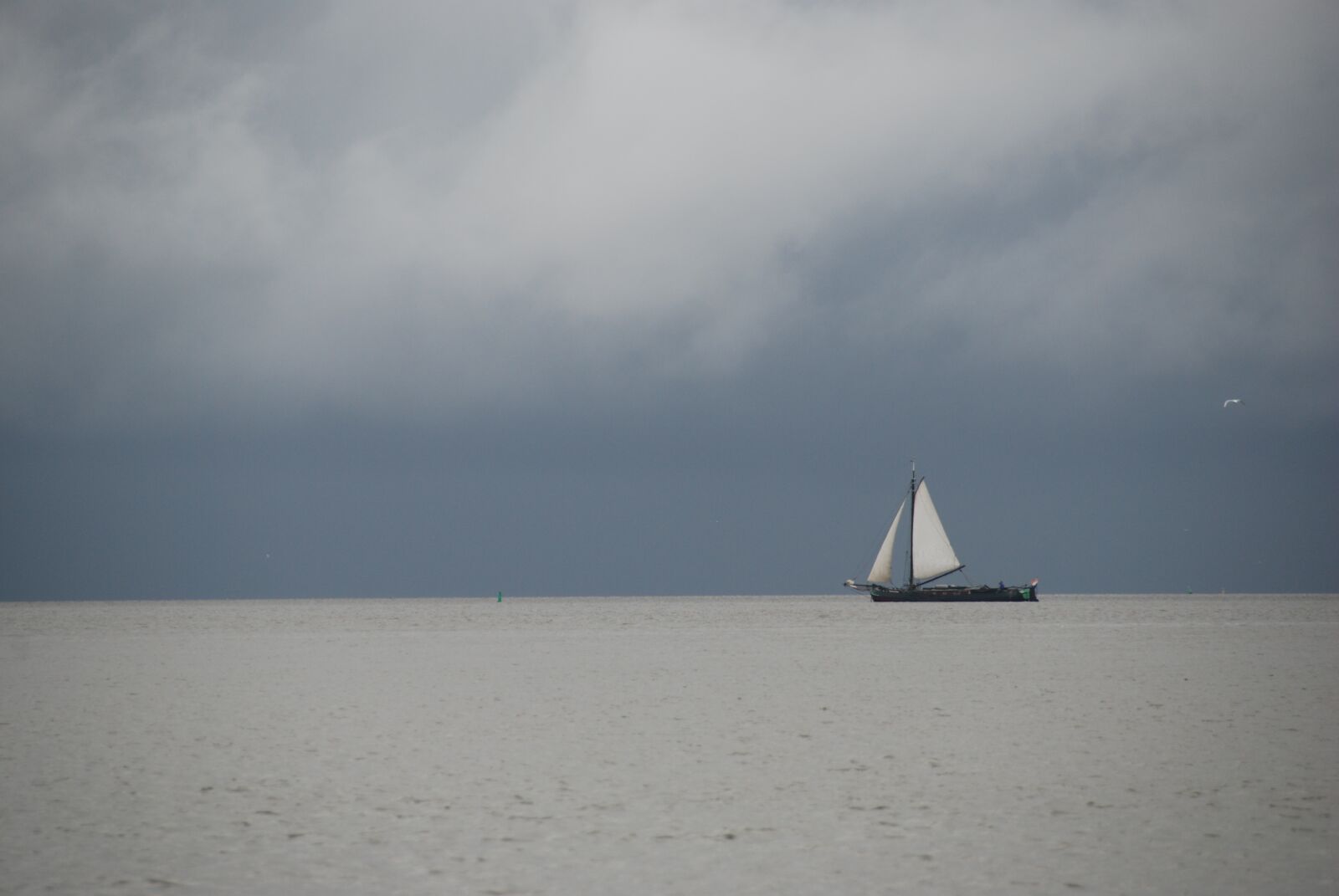 Nikon D80 sample photo. Sailing, boat, water photography