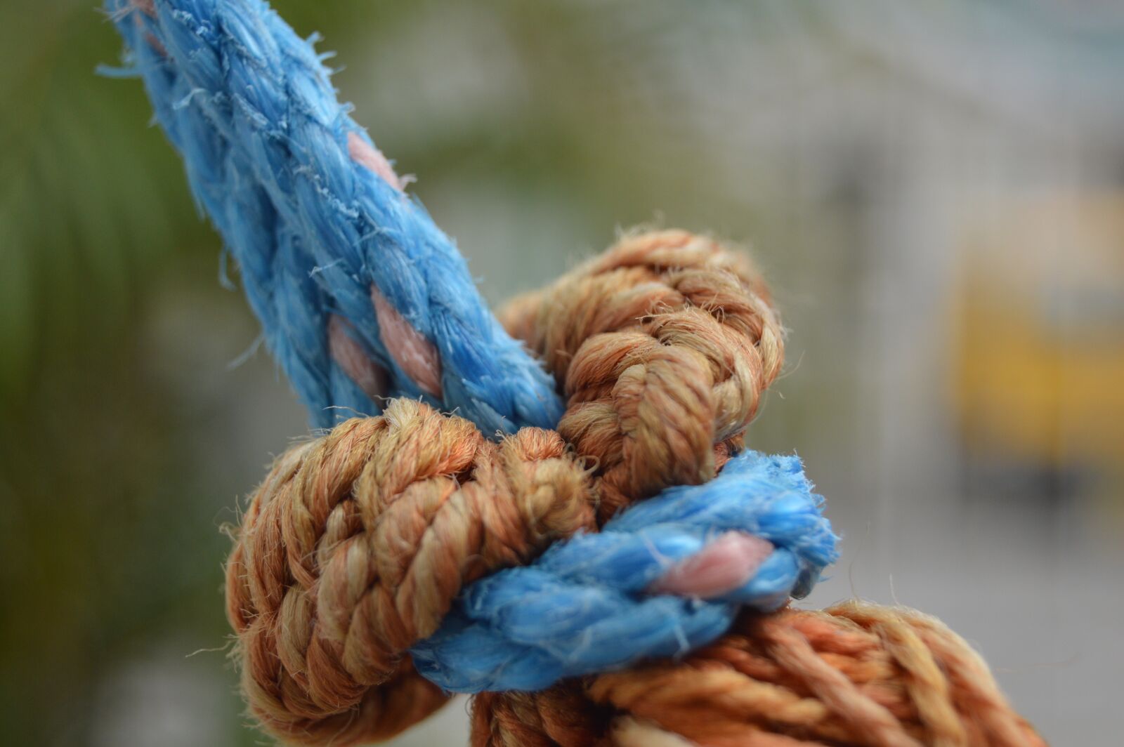 Nikon D3200 sample photo
