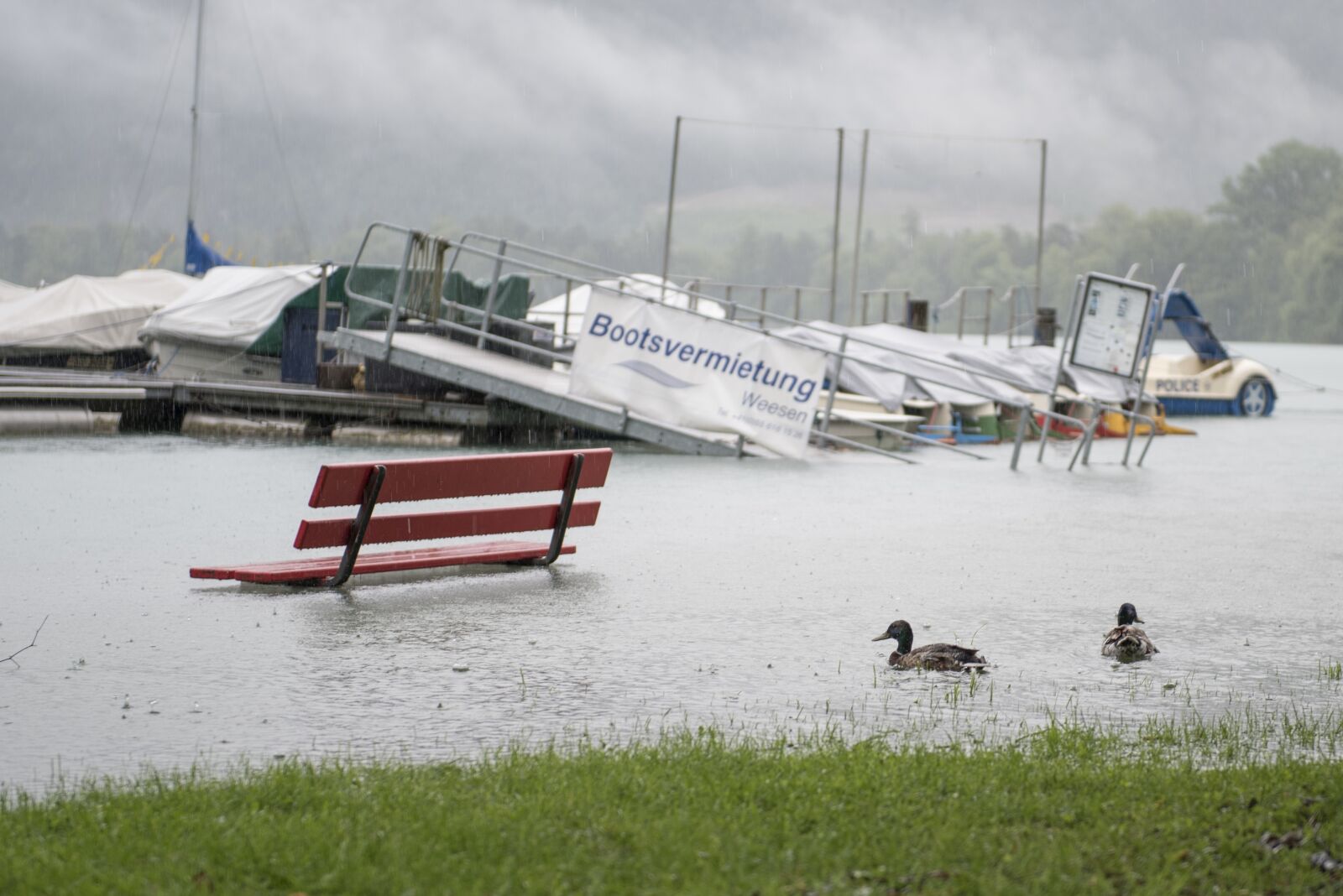 Nikon D750 sample photo. Rain, lake, high water photography