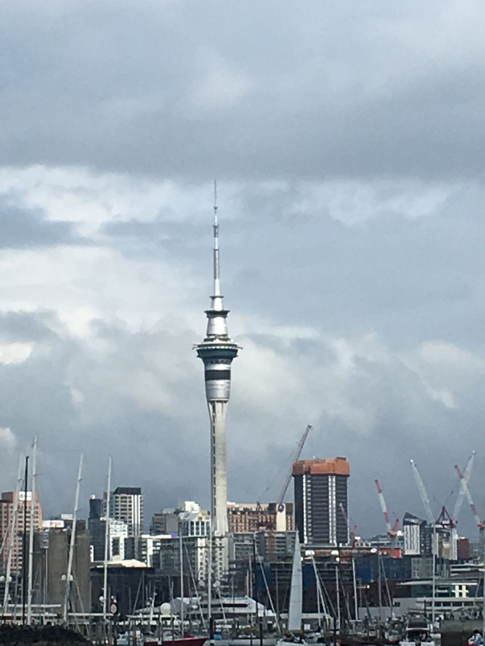 iPhone SE back camera 4.15mm f/2.2 sample photo. Auckland, sky-tower, city photography