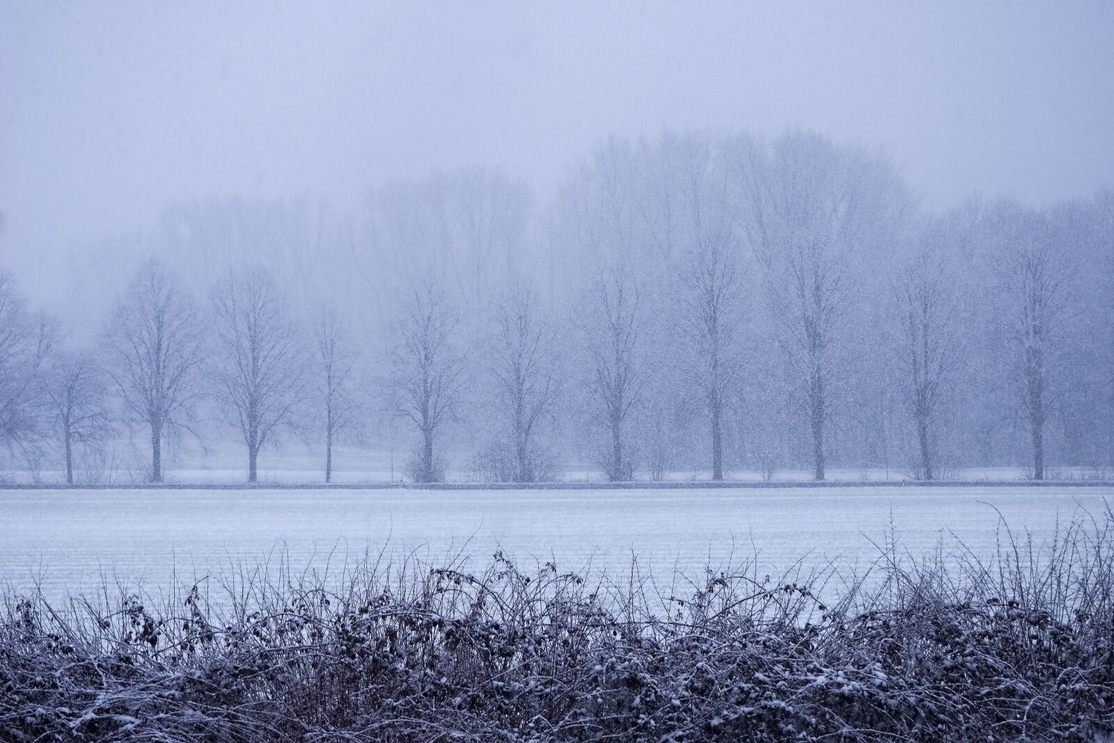 Olympus OM-D E-M10 sample photo. Landscape, winter, snow photography