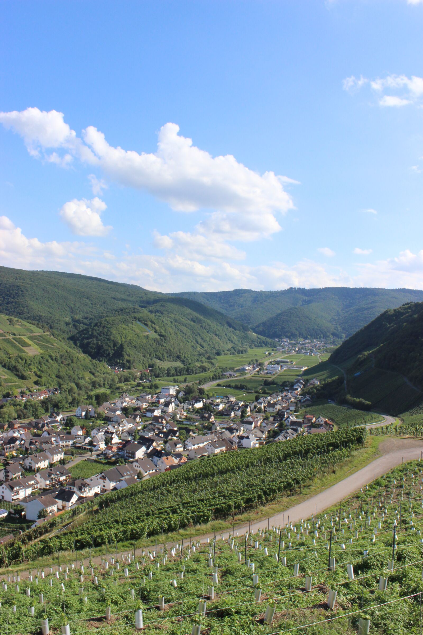 Canon EOS 600D (Rebel EOS T3i / EOS Kiss X5) sample photo. Dernau, ahr valley, vineyards photography