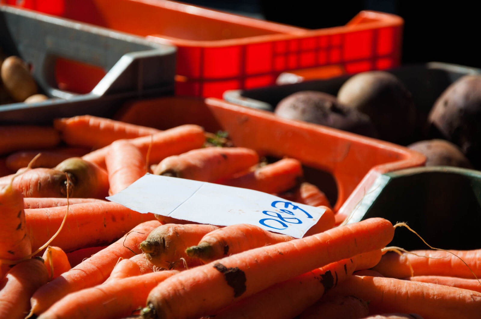 Nikon D90 sample photo. Carrots, farmers, market, morning photography