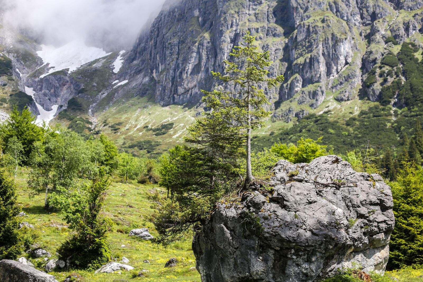 Canon EF 100-400mm F4.5-5.6L IS USM sample photo. Alm, mountains, meadow photography
