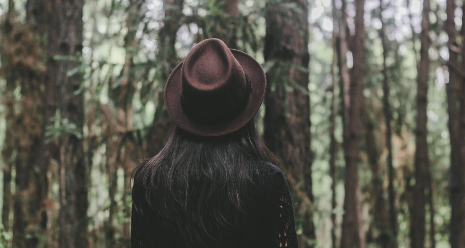 Canon EOS 60D + Canon EF 50mm F1.8 II sample photo. Forest, girl, outdoors photography