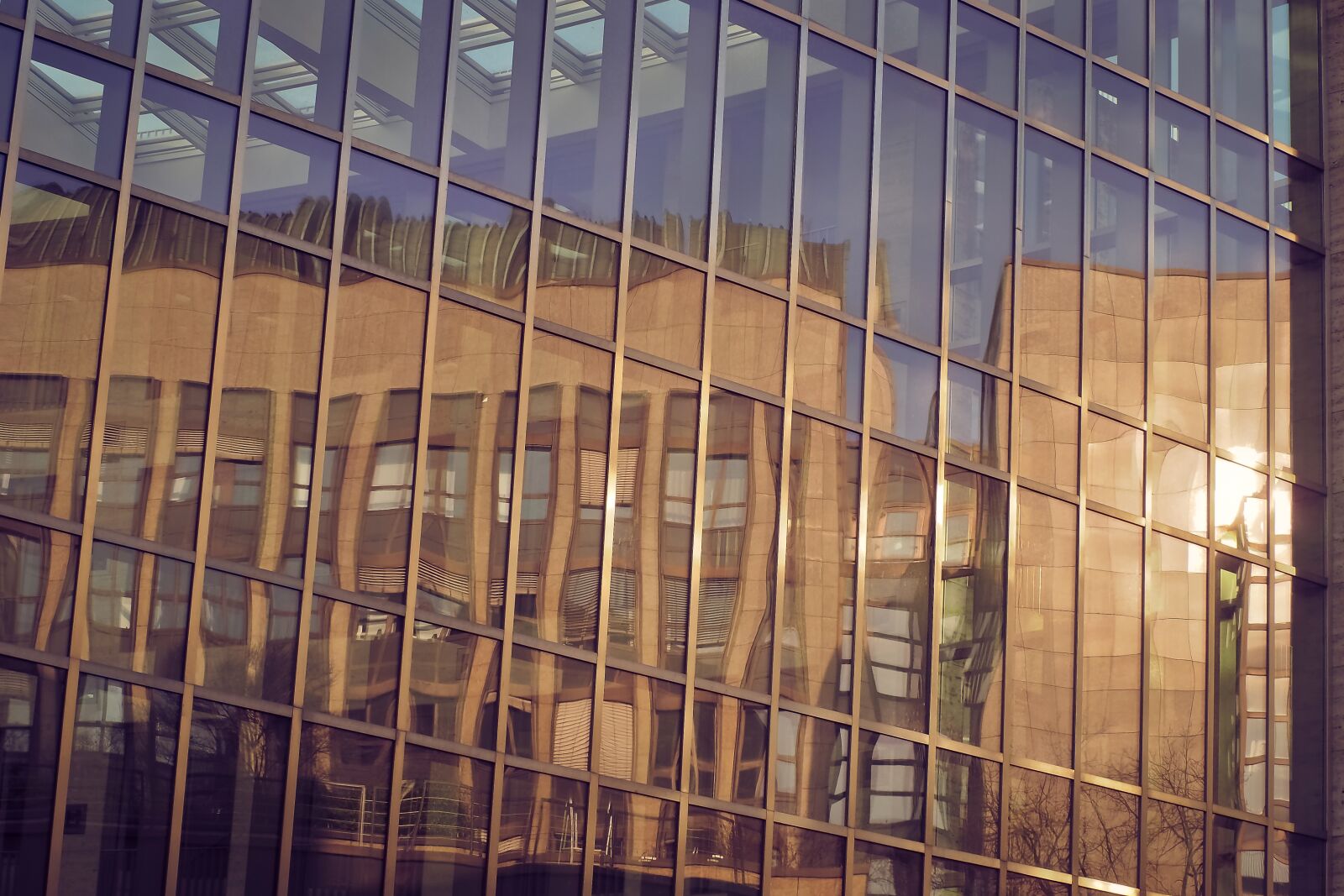 Olympus OM-D E-M10 sample photo. Architecture, mirroring, modern photography