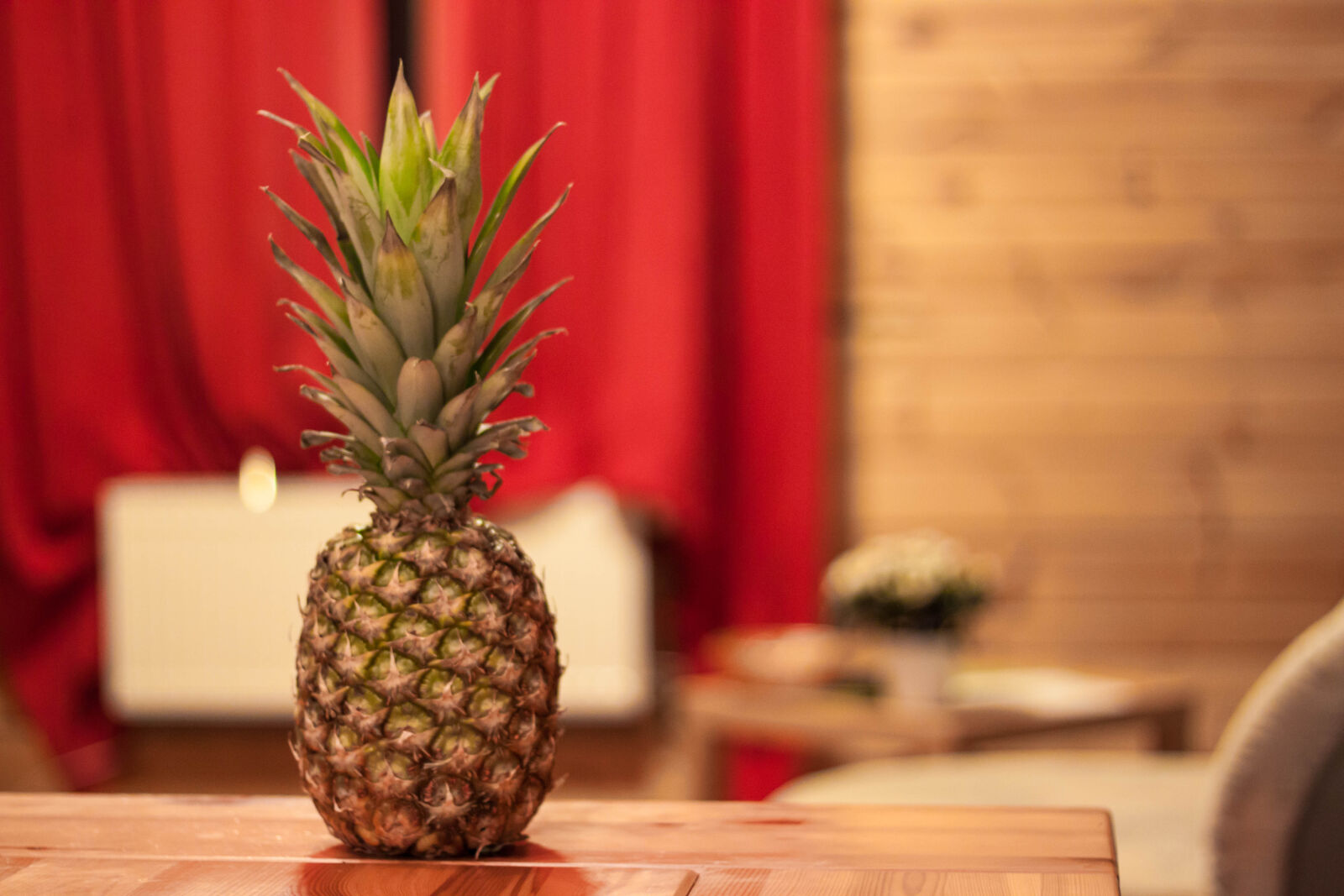 Canon EOS 500D (EOS Rebel T1i / EOS Kiss X3) + Canon EF 50mm F1.8 STM sample photo. Food, fruit, pineapple, table photography