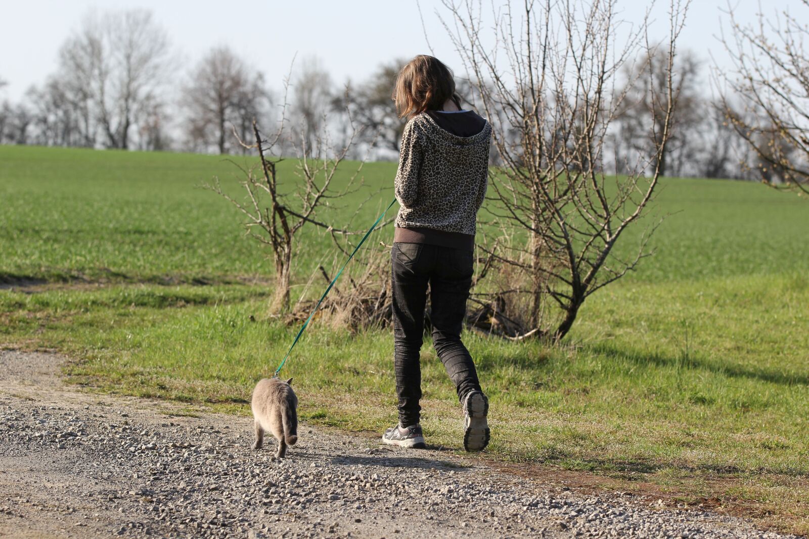 Canon EOS 60D + Canon EF 70-200mm F2.8L IS II USM sample photo. Woman, cat, walk photography