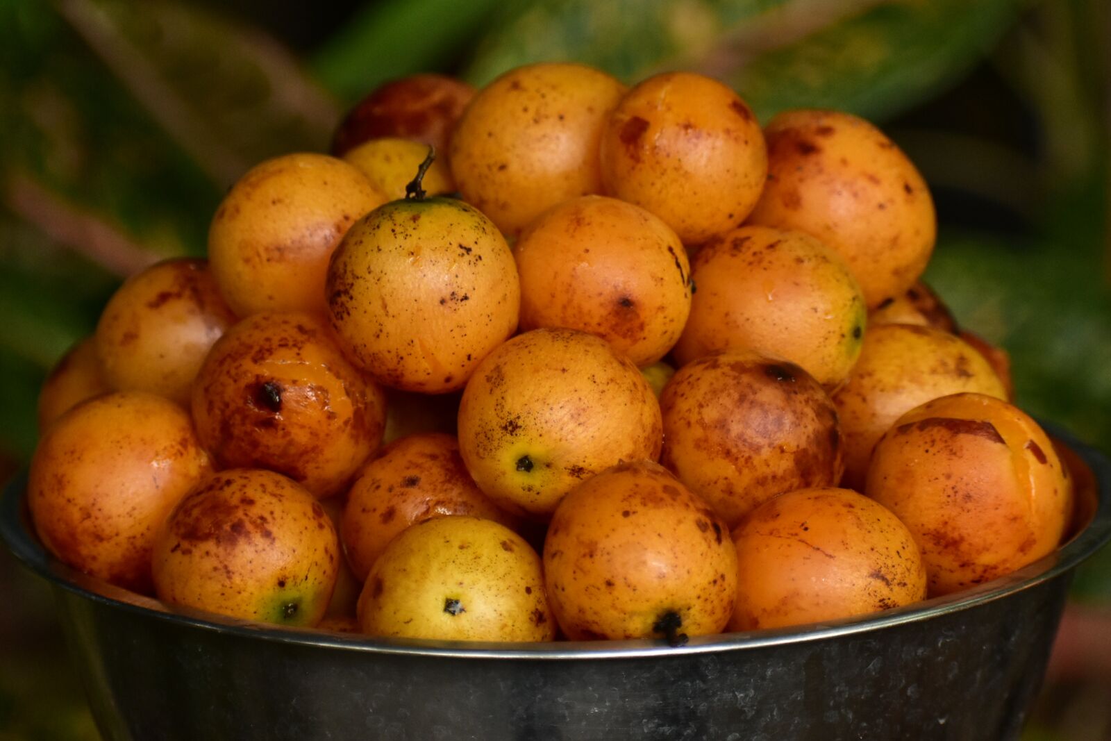 Nikon D3400 sample photo. Sour, tropical fruit, healthy photography