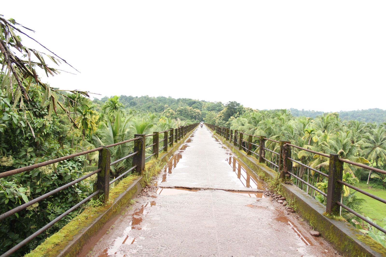 Canon EOS 1300D (EOS Rebel T6 / EOS Kiss X80) sample photo. Perspective, bridge, architecture photography