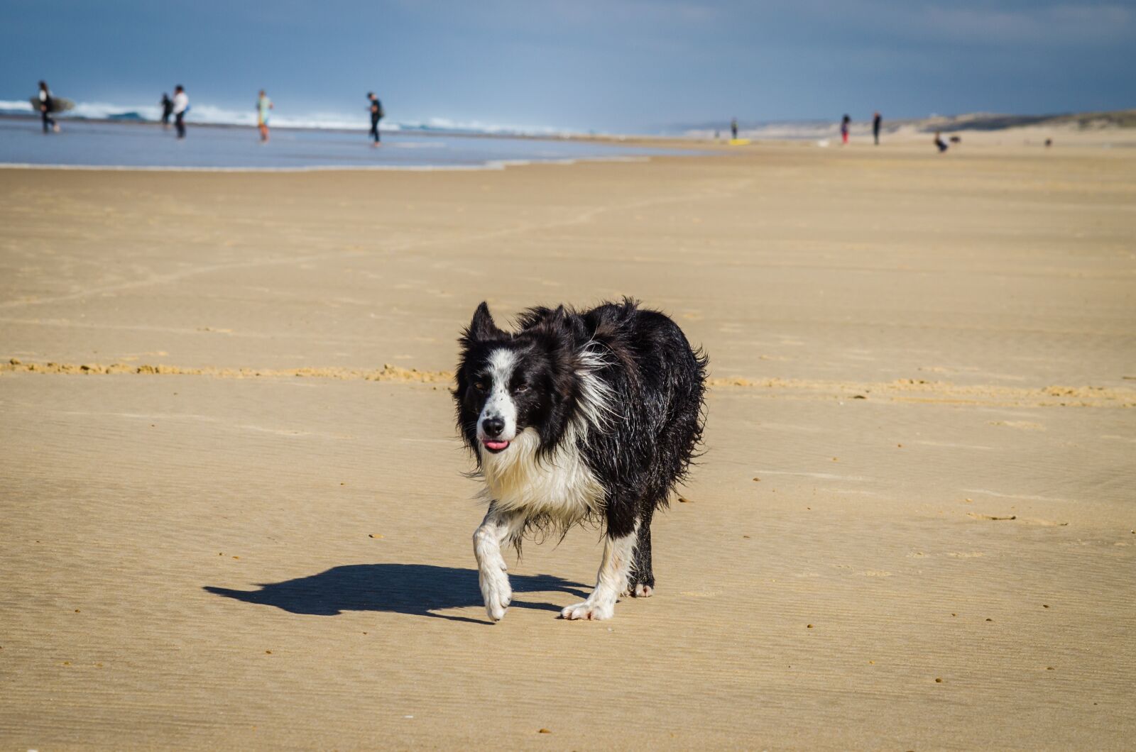 Nikon D5100 sample photo. Beach, sun, summer photography