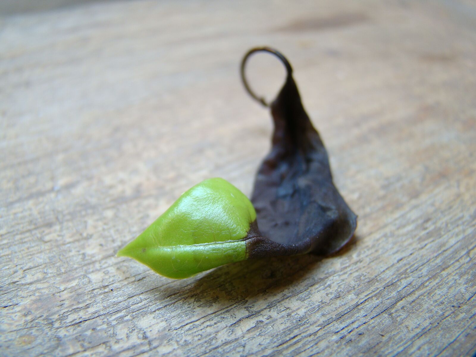Sony Cyber-shot DSC-H50 sample photo. Leaf, green, dry leaf photography