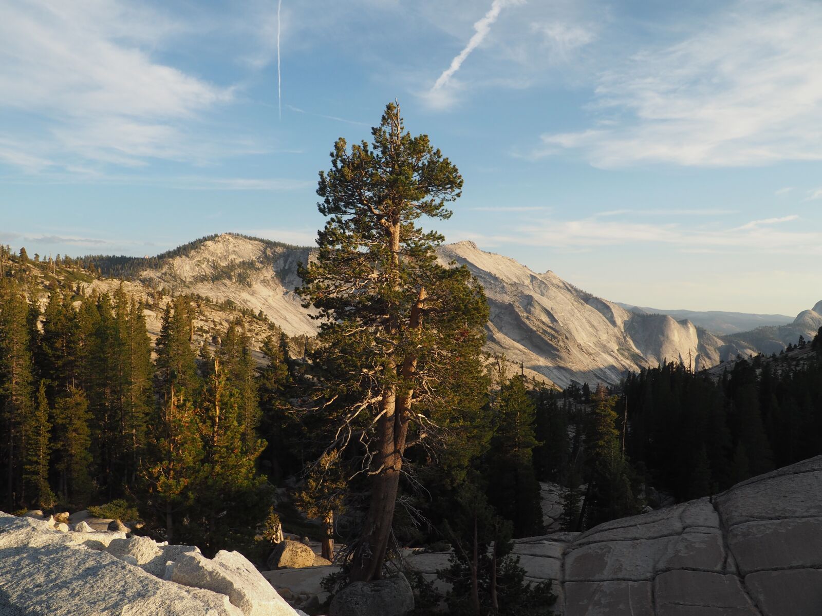 Olympus OM-D E-M10 II sample photo. Yosemite, nature, landscape photography