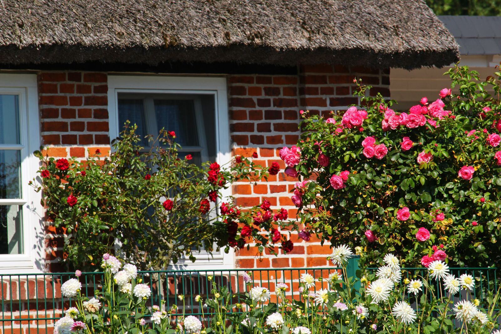 Canon EF-S 55-250mm F4-5.6 IS STM sample photo. Farmhouse, front yard, r photography