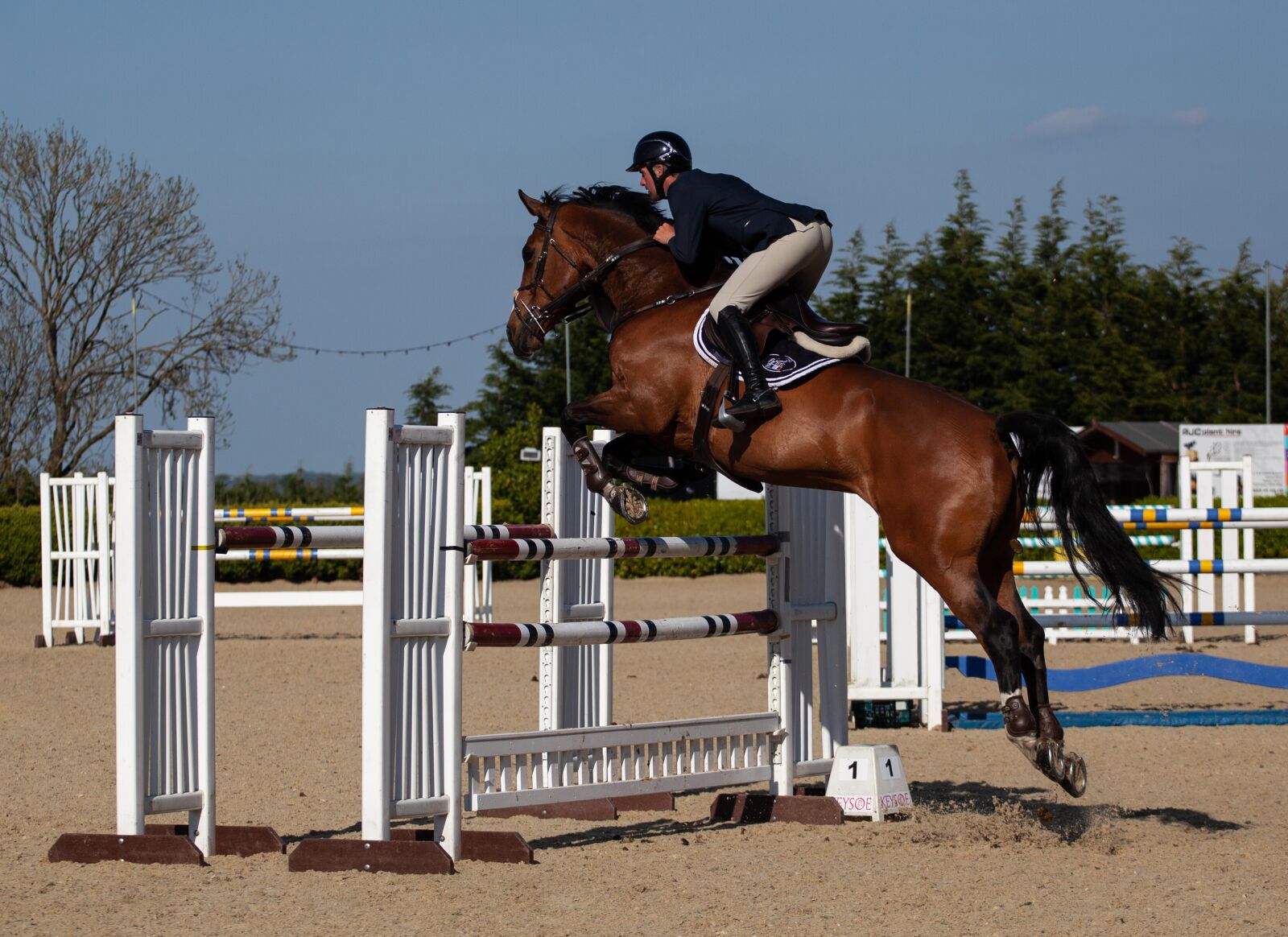 Canon EOS 5D Mark II sample photo. Horse jumping, horse, jumping photography