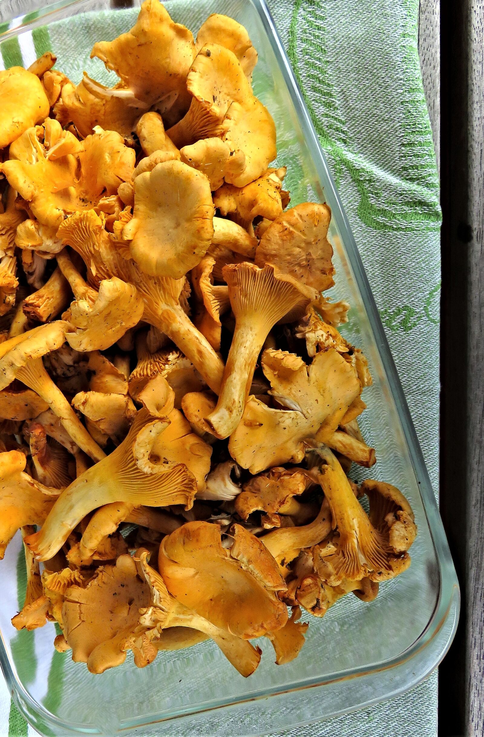 Canon PowerShot SX710 HS sample photo. Mushrooms, chanterelles, food mushrooms photography