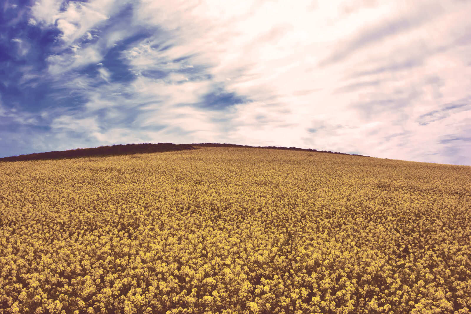 Nikon D3300 sample photo. Blue, sky, countryside, crop photography