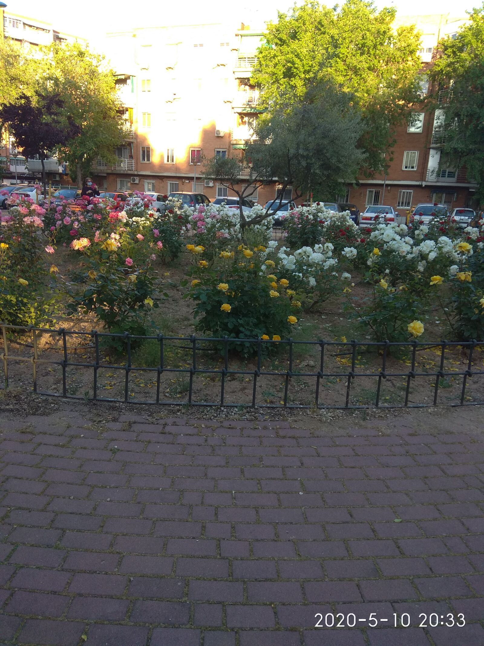 Xiaomi Redmi Note 4 sample photo. Mi barrio, casa, flores photography