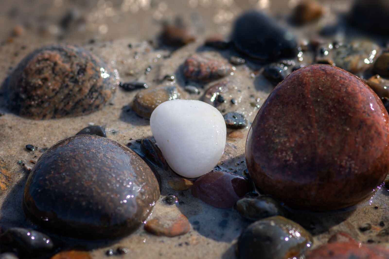 Nikon D7200 sample photo. Stones, beach, sea photography