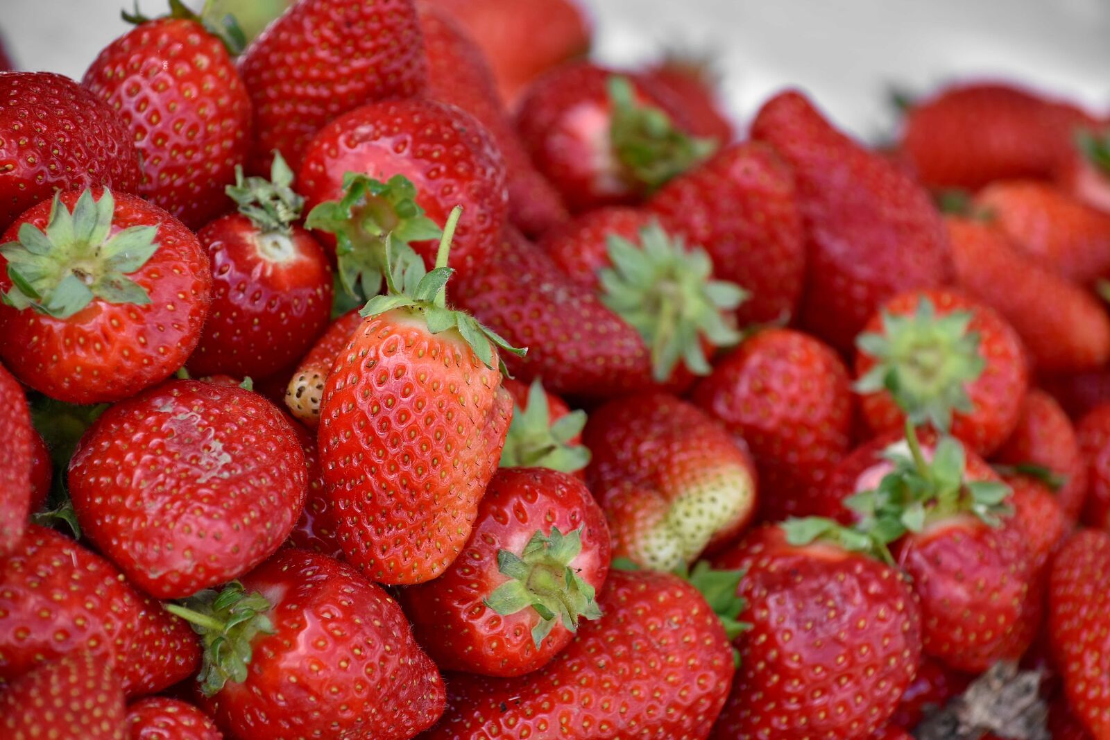 Nikon D5500 sample photo. Delicious, strawberry, berry, fruit photography