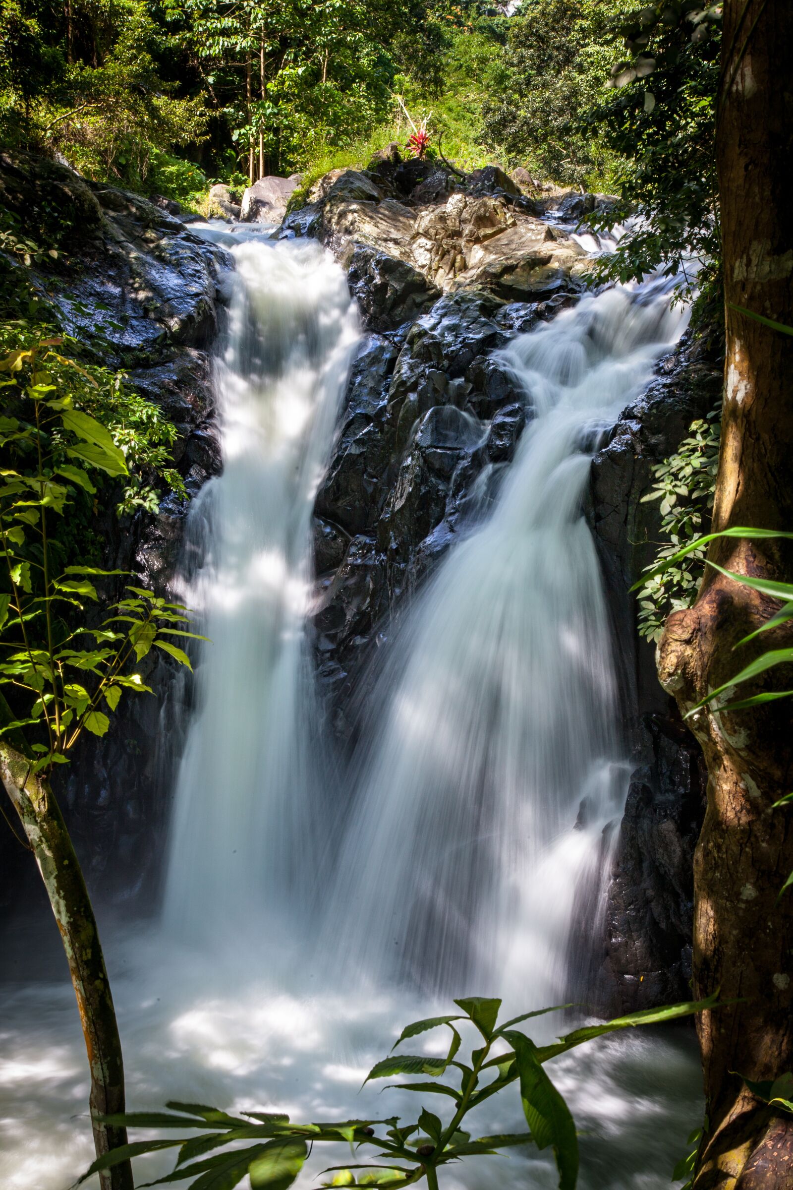 Canon EOS 5D Mark II sample photo. Waterfall, nature, forest photography